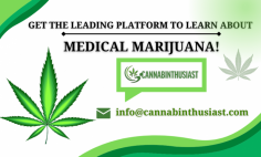 Get Valuable Information about Medical Marijuana!

Cannabinthusiast has become one of the world’s largest medical marijuana review resources – enabling patients of all kinds to better understand the healing powers of marijuana and to receive professional information and unbiased opinions on medical marijuana doctors, dispensaries, and products.
