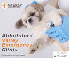 Trusted Emergency Vet Clinic in Agassiz

Visit Abbotsford Vet Emergency's exceptional emergency vet clinic in Agassiz for compassionate veterinary care during emergencies. Our experienced veterinarians and caring staff are committed to providing prompt and comprehensive care for your pets when they need it most. With advanced facilities and a dedication to excellence, we prioritize your pet's well-being and offer the highest standard of care in Agassiz.