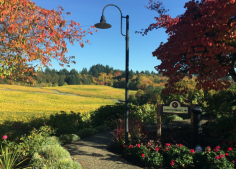 Willamette Valley Wine Tours 

If you are looking for the Willamette valley wine tours then contact Terran Travels. It offers several packages that will meet your wine tours needs.  Visit us:- https://www.terrantravels.com/our-services