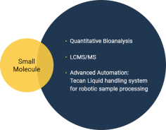 Best bioanalytical  Company

With state-of-the-art instrumentation, we are one of the leading bioanalytical providers in the industry. We strive to deliver data which exceeds quality standards and will stand scrutiny to regulatory requirements

https://www.novumprs.com/services/bioanalytical/