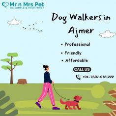 Are You Looking for Dog Walkers in Ajmer? Our experienced team of dog walkers is dedicated to keeping your furry friend active, happy, and well-socialized. Book your dog Walkers online today and be worry-free; Contact us now.
 visit site : https://www.mrnmrspet.com/dog-walking-in-ajmer
