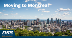 Moving to Montreal

Visit: https://www.ossworldwidemovers.com/news/moving-to-montreal/

There’s no shortage of things to do in Montreal! From exploring the city’s rich history and culture to enjoying its vibrant nightlife, there’s something for everyone. So what are you waiting for? Begin your move overseas to Montreal.