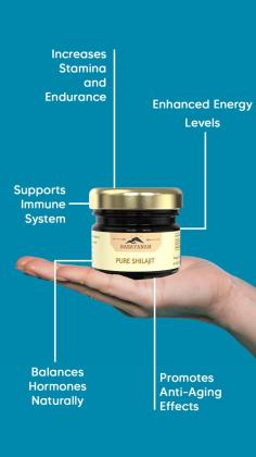 Benefits of Shilajit