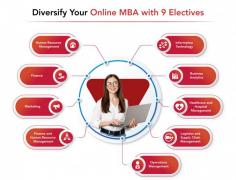 Diversify Your Online MBA with 9 Electives