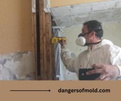 Mold can infect your walls in different ways; therefore, it is important to remove it by hiring commercial mold removal service providers. Contact Dangers of Mold for complete mold removal and remediation service.

www.dangersofmold.com
