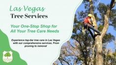 Las Vegas Tree Services: Your One-Stop Shop for All Your Tree Care Needs

Experience top-tier tree care in Las Vegas with our comprehensive services. From pruning to removal, we're your all-in-one solution for maintaining vibrant and healthy trees. Your satisfaction is our priority.

Visit Now: https://www.duranchitreeservice.com/