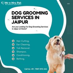 Dog Groomers in Jaipur	

Are you Looking for Dog Groomers in Jaipur at Home? Our expert and certified pet groomers in Jaipur will come to your home and groom your pet. Book your dog groomers in Jaipur today and be worry-free; Contact us now for a rewarding grooming experience!

View Site: https://www.mrnmrspet.com/dog-grooming-in-jaipur

