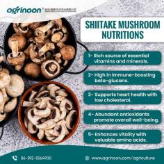 With Agrinoon and its carefully selected raw materials that are used for growing mushrooms, you can we encourage customers to buy Shiitake Spawns from us which cater to the highest quality. We also offer different growing mediums to the customers for selling products in the local market. Our offerings allow you get the highest quality spawn for better yield and it can be customized according to the requirements. You can take a look at the products we offer for growing mushrooms and the offering of Mushroom Logs For Sale shows the excellence of cultivation.

Buy now: https://www.agrinoon.com/agriculture/chinese-shiitake-mushroom-logs/