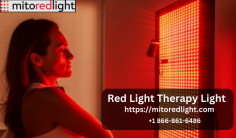 Mito Red Light is a cutting-edge device designed for Red Light Therapy, a non-invasive wellness technique that utilizes specific wavelengths of red and near-infrared light to promote various health benefits. This sleek and portable device emits powerful, medical-grade LED light that penetrates the skin's surface, stimulating cellular rejuvenation and energy production. It's revered for enhancing skin health by reducing wrinkles, acne, and inflammation, while also boosting collagen production. Beyond skincare, Mito Red Light aids in muscle recovery, reducing pain and inflammation, and even supports mental well-being by enhancing mood and sleep patterns. Compact and user-friendly, this therapy light brings the healing power of light to your fingertips, offering a convenient and natural way to improve your overall well-being.

https://mitoredlight.com/
