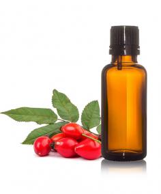 Bharat Herbs and Oils proudly sources its exceptional 100% Pure Rosehip Oil Manufacturer in Germany. This exquisite oil is meticulously crafted to retain its natural potency and benefits. Our partnership with this reputable German manufacturer ensures that our customers receive the highest quality Rosehip Oil, extracted from the finest rosehips through a delicate process that preserves its therapeutic properties.

Grown in pristine environments, these rosehips are carefully selected and processed using advanced techniques to create a pure and undiluted oil. The manufacturing facility in Germany adheres to stringent quality standards, employing modern technology and expertise to ensure the oil's integrity. Each batch is subjected to rigorous testing to maintain its authenticity and quality, making it a cherished ingredient in Bharat Herbs and Oils' range of wellness products.

Read more:- https://www.bharatherbsandoils.com/germany/rosehip-oil