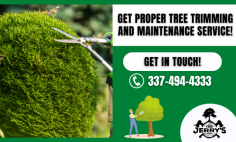 Upgrade Your Space with Tree Trimming Services!

Tree trimming is generally best when done after temperatures cool off in the fall and before buds begin to grow in the spring. Removal of dead, broken, or damaged limbs can be done anytime. We can provide you with high-quality tree solutions for your property. Get in touch with Jerry’s Tree Service!
