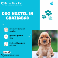 Are You Looking for Dog Boarding Services in Ghaziabad? Your beloved pet will enjoy a comfortable and safe stay at our expertly managed facility. Count on us to provide you with the best care and a great time! Book your Dog Boarding in Ghaziabad online today and be worry free; Contact us now for a rewarding dog hostel experience!
vist site : https://www.mrnmrspet.com/dog-hostel-in-ghaziabad

