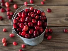 Cranberry is the fruit of a small shrub bush that grows in North America and produces vegetation and then a purple or purple berry.
https://postquad.com/cranberry-nutrition-and-health-benefits/
