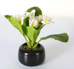 Miniature White Anthurium In Pot
https://www.artificial-pant-factory.com/product/artificial-plants-grasses/artificial-potted-plants/
