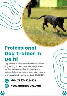 Professional Dog Trainer in Delhi

Dog Trainer in Delhi: We offer the best home dog training in Delhi. Mr n Mrs Pet provides pet training services like dog obedience training, behaviour training, dog guard training, and puppy toilet training service in Delhi NCR.

View Site: https://www.mrnmrspet.com/dogs-training-in-delhi
