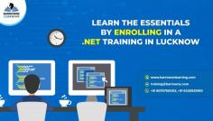 Your pathway to success! Explore our diverse range of online courses with placement assistance. Elevate your skills and secure your dream job with our expert-guided programs. With a commitment to career growth, we offer tailored training that ensures you're job-ready in no time. Join us today and unlock a world of opportunities.