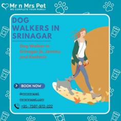 Dog Walker in Srinagar jk, Jammu and Kashmir: Book a highly-trained dog walker & dog walking service in Srinagar jk. We connect Srinagar jk’s best dog walkers & pet sitters near you, who offers insured and secured pet walking services.
Visit site :https://www.mrnmrspet.com/dog-walking-in-srinagar-jk
















