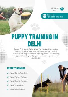 Professional Puppy Training in Delhi	

Puppy Training in Delhi: We offer the best home dog training in Delhi. Mr n Mrs Pet provides pet training services like dog obedience training, behaviour training, dog guard training, and puppy toilet training service in Delhi NCR.

View Site: https://www.mrnmrspet.com/dogs-training-in-delhi

