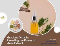 At Gracious Organic, we are firm believers in utilizing nature's incredible potential to advance health and wellbeing. The pure and powerful Amla extract is one of our best-selling items. Amla, also known as the "Indian Gooseberry," has a long and illustrious history in traditional Ayurvedic medicine.

https://graciousorganic.com/product/groex-shin/