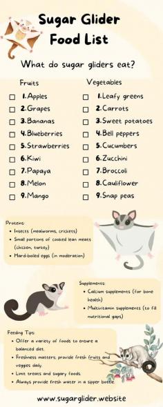 Sugar glider food list and what do sugar gliders eat?

Have a sugar glider fruits and vegetables list handy and learn about what do sugar gliders eat from this infographic. To keep them super happy and healthy, they need the right kind of food. That means they should gobble up fruits, veggies, proteins, and some extra vitamins to stay in tip-top shape. Please visit here https://sugarglider.website/what-do-sugar-gliders-eat/ for more information.