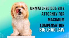 "Looking for the best dog bite attorney? Big Chad Law is your trusted legal partner in handling dog bite cases. With our experienced team, we provide swift and effective legal solutions for dog bite victims. Contact us now for expert guidance and maximize your chances of receiving the compensation you deserve. Trust Big Chad Law for the justice you seek.
"https://www.bigchadlaw.com/arizona-dog-bite-attorney/