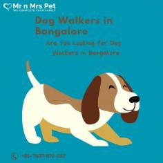 Dog Walkers in Bangalore, Karnataka: Book a highly-trained dog walker & dog walking service in Bangalore. We connect Bangalore’s best dog walkers & pet sitters near you, who offers insured and secured pet walking services.
visit site : https://www.mrnmrspet.com/dog-walking-in-bangalore

