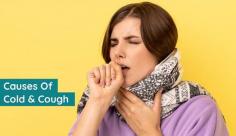 Discover the common causes of cough and cold that affects millions of people worldwide. Get more information on the 8 most common cold and cough causes at Livlong now!