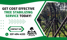 Enhance Your Tree Stability with Our Expert Service! 

If you have small young trees, our tree stabilizing experts will help you with training and nurturing them so that they will mature into long-lasting beautiful assets in your landscape. Our certified arborists can analyze your property, diagnose problems your landscape might have, and recommend a solution to the problems. Contact Jerry’s Tree Service today to get more information!
