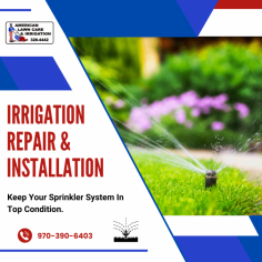 Complete Irrigation Systems for Your Garden

Keep your landscaping looking its very best is vital for curb appeal and property value. We accurately measure your yard and determine the best type of irrigation system for your plants. For more information, call us at 970-390-6403. 
