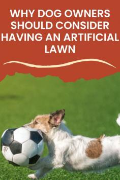 Why Dog Owners Should Consider Having an Artificial Lawn


Read Now
https://www.artificialgrassgb.co.uk/blog/why-dog-owners-should-consider-having-an-artificial-lawn.html