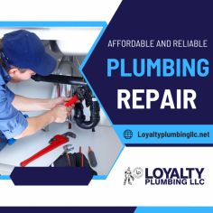 Prioritize Your Plumbing Repair and Inspection

Waste lines can back up into your bathtub or sinks can cause flooding or overflowing toilets. Our experts using snake machines for a simple stoppage issue to detecting weaknesses in the lines and clear out stubborn blockages. Send us an email at info@loyaltyplumbingllc.com for more details.

