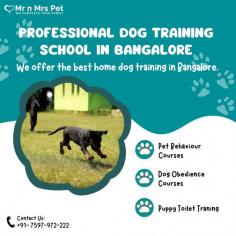 Professional Dog Training School in Bangalore	

Dog Training School in Bangalore: We offer the best home dog training in Bangalore. Mr n Mrs Pet provides pet training services like dog obedience training, behaviour training, dog guard training, and puppy toilet training service in Bangalore, Karnataka.

View Site: https://www.mrnmrspet.com/dogs-training-in-bangalore
