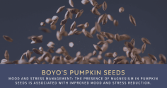 Looking to add a healthy crunch to your diet? Discover the finest selection of buy pumpkin seeds online and enjoy the convenience of doorstep delivery. Choose from a variety of premium pumpkin seeds, roasted to perfection for a wholesome snack.
https://theboyo.com/products/pumpkin-seeds-super-seed-series-250-gm