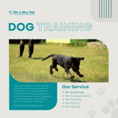 Professional Dog Training School in Chennai	

Dog Training School in Chennai: We offer the best home dog training in Chennai. Mr n Mrs Pet provides pet training services like dog obedience training, behaviour training, dog guard training, and puppy toilet training service in Chennai, Tamil Nadu.

View Site: https://www.mrnmrspet.com/dogs-training-in-chennai

