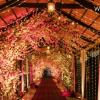 Check out the top wedding venues in Bangalore!

Visit-
https://www.weddingcloud.in/ 
for more information!