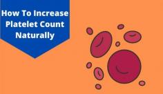 Discover the top natural ways to increase platelets to be fit & healthy. Read this blog to know more about how to increase platelet count faster at Livlong.
