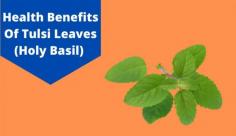 Explore the benefits of tulsi leaves which have great effects on health & improving immunity against various diseases. Read more about the tulsi leaves benefits at Livlong.