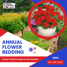 Best Raised Bedding for Your Garden

We keep your bedding looking fresh and well-cared for. Our team has the experience and training to design and maintain the perfect garden for your home. For more details, call us at 970-390-6403.