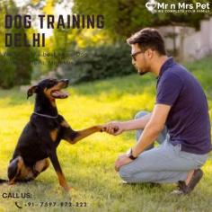 We offer the best home Dog Training Delhi. Mr n Mrs Pet provides pet training services like dog obedience training, behaviour training, dog guard training, and puppy toilet training service in Delhi NCR.
