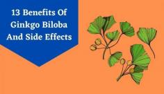 A supplement called ginkgo biloba has been shown to improve memory and cognition. Visit Livlong for more information on ginkgo biloba benefits for memory improvement, and its side effects.