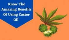 Castor oil is a popular home remedy for its amazing health benefits. It was used for treating a variety of diseases in ancient times. We will tell you about modern research and the benefits of using this natural oil. Read more here.