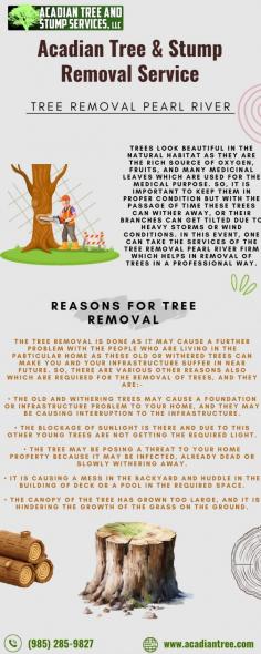 After a tree has been cut down, the remaining stump can be an eyesore and a potential obstacle in your yard. Our stump removal and grinding services utilize advanced equipment to completely remove the stump, including its roots, or grind it down to below ground level. This process allows for easier landscaping, eliminates tripping hazards, and prepares the area for future planting or construction. Call us at (985) 285-9827 for additional information about Tree Removal Pearl River.

Website:  https://acadiantree.com/tree-removal-pearl-river/