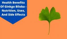 Explore the top 7 health benefits of Ginkgo Biloba to improve memory, reduce anxiety, etc. Read more on what is ginkgo biloba used for at Livlong now!