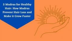 Explore these powerful mudras in yoga to prevent hair fall, promote healing & grow stronger hair. Learn more about the best mudras for hair at Livlong today!