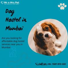 Are you looking for affordable dog hostel services near you in Mumbai? Mr N Mrs Pet specializes in dog boarding services and provides professional pet hostel in Mumbai. For dog boarding services visit our website and book your hostel.
Visit Site : https://www.mrnmrspet.com/dog-hostel-in-mumbai
