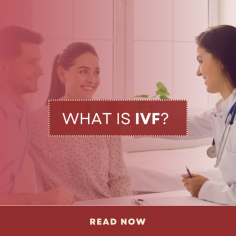 In Vitro Fertilization Insight: Understand the advanced techniques and approaches to IVF. Learn about the importance of in vitro fertilization in addressing infertility. For more information, visit!
