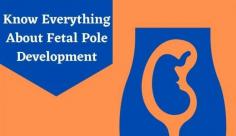 Learn everything about what is a fetal pole, its functional aspects, anatomical aspects and how to maintain a healthy fetal pole in pregnancy. Read this blog at Livlong for more details.