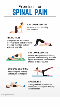 Exercises for Spinal Pain.