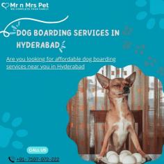 Are you looking for affordable dog boarding services near you in Hyderabad? Mr N Mrs Pet specializes in dog boarding services and provides professional pet hostel in Hyderabad. For dog boarding services visit our website and book your hostel.
Visit Site : https://www.mrnmrspet.com/dog-hostel-in-hyderabad
