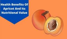 Check out the benefits of apricot which are rich in fiber, vitamins, beta carotene, lutein, & zeaxanthin, etc. Read more about the apricot health benefits at Livlong.